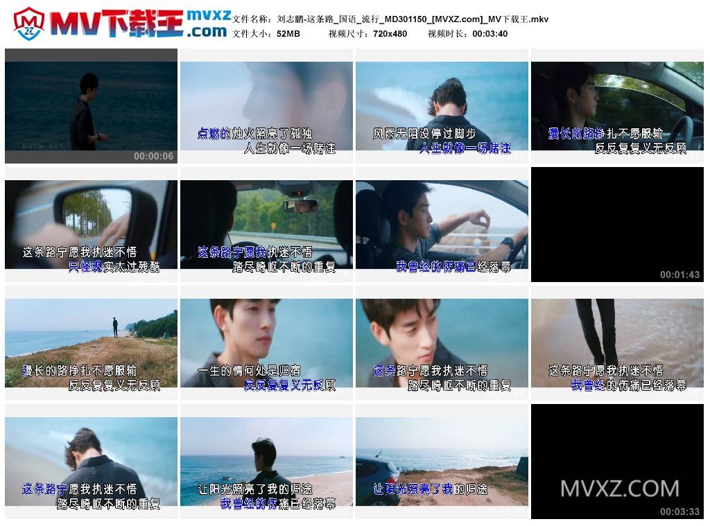 刘志鹏-这条路_国语_流行_MD301150